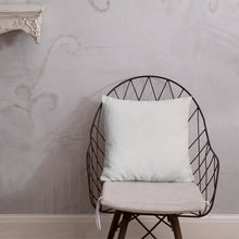 Load image into Gallery viewer, Paisley Pillow
